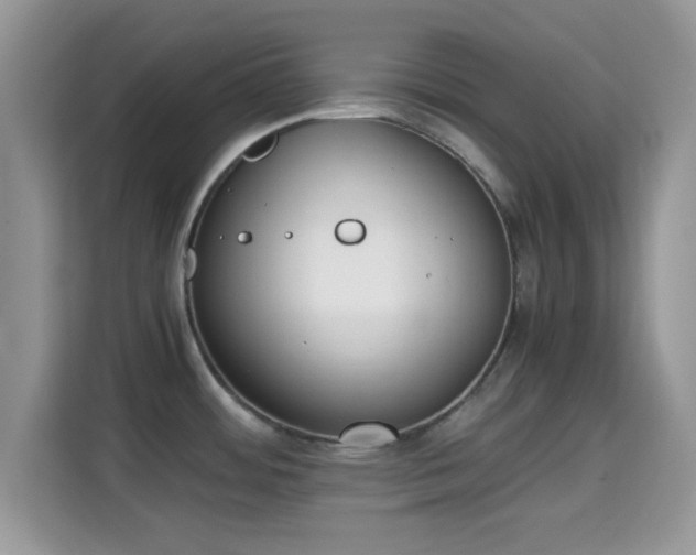 X0000115341484200911091255