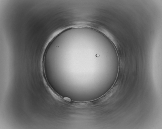 X0000115341485200911091255
