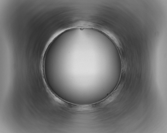 X0000115341486200911091255