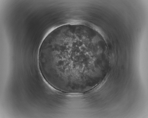 X0000115341487200911091255