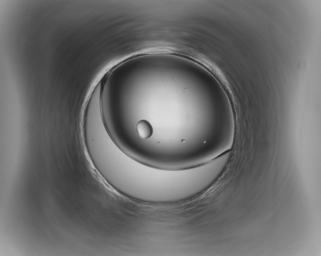 X0000115341488200911091255
