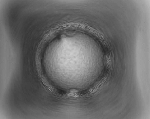 X0000115341489200911091254