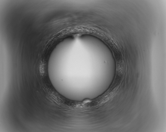X0000115341490200911091254
