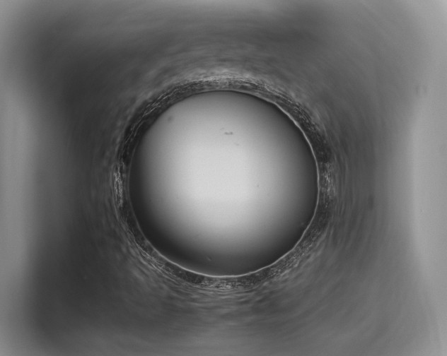 X0000115341493200911091254