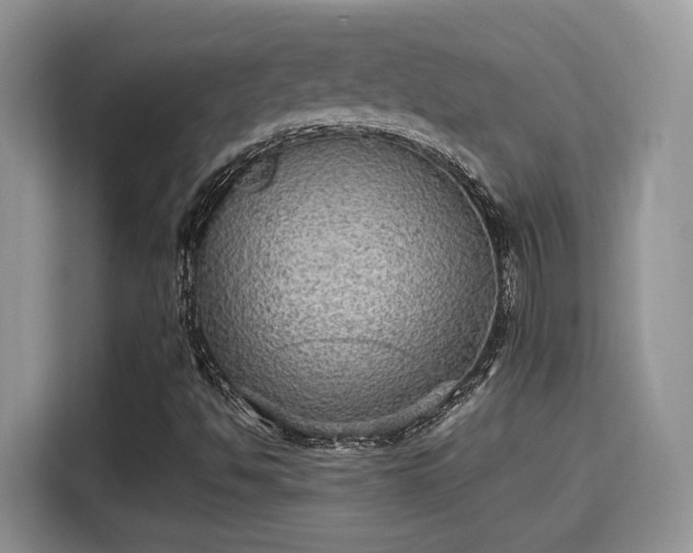 X0000115341494200911091254