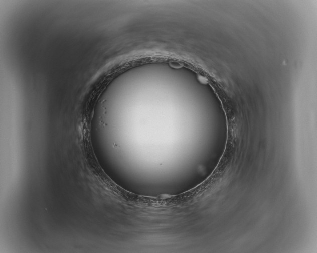 X0000115341495200911091254