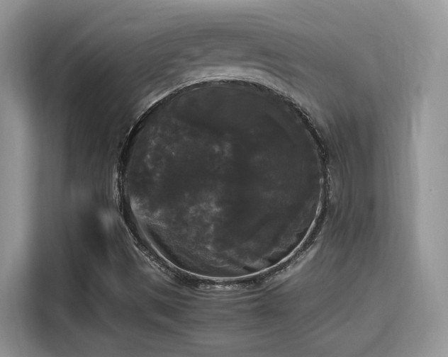 X0000115341497200911091254