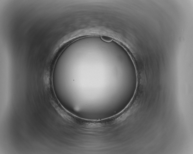 X0000115341499200911091254
