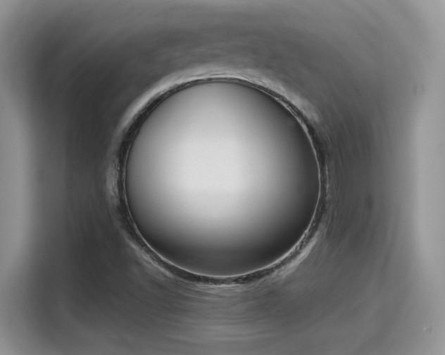 X0000115341502200911091254