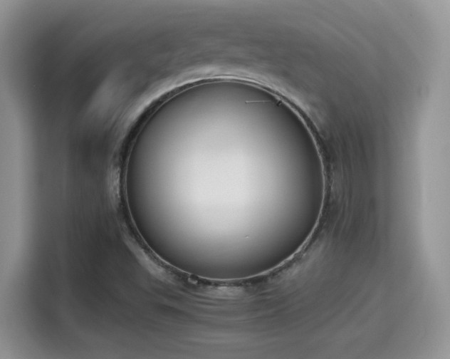 X0000115341503200911091254