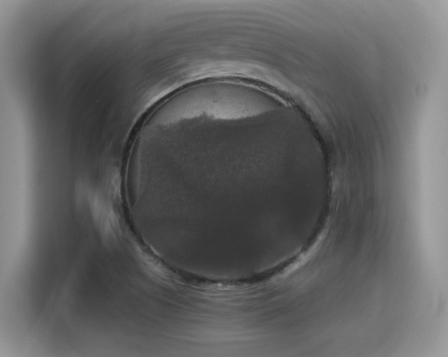 X0000115341505200911091255