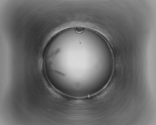 X0000115341507200911091255