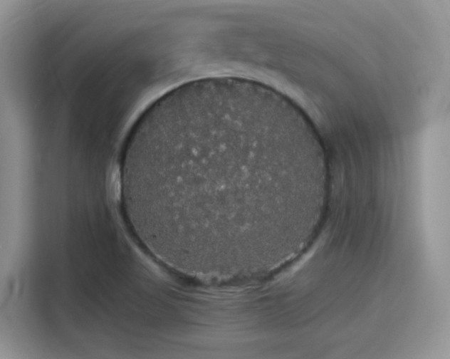 X0000115341509200911091255