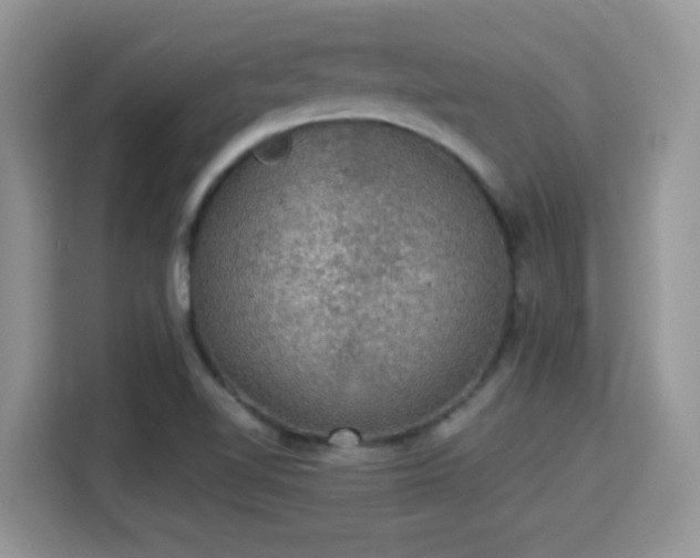 X0000115341510200911091255
