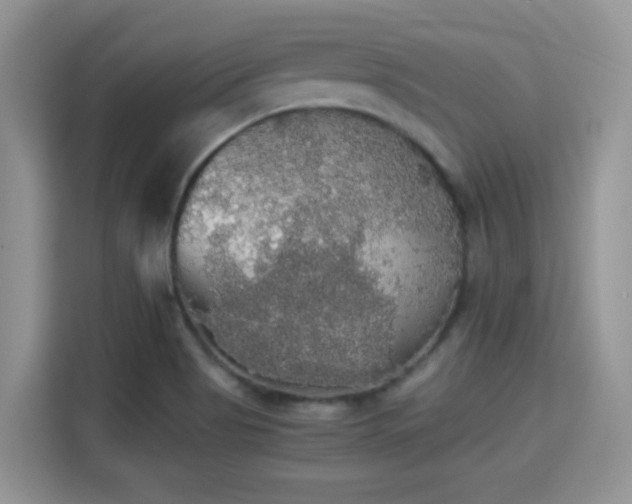 X0000115341513200911091255