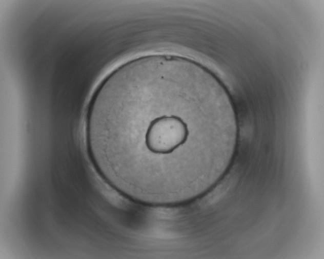 X0000115341514200911091255
