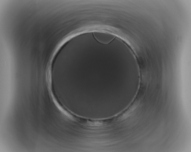 X0000115341515200911091255