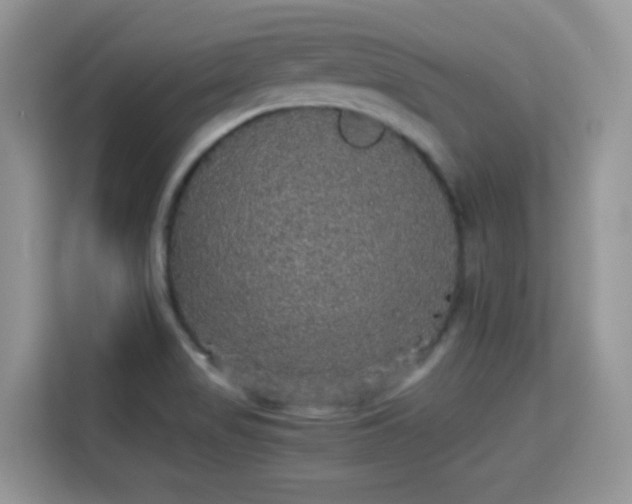 X0000115341517200911091255