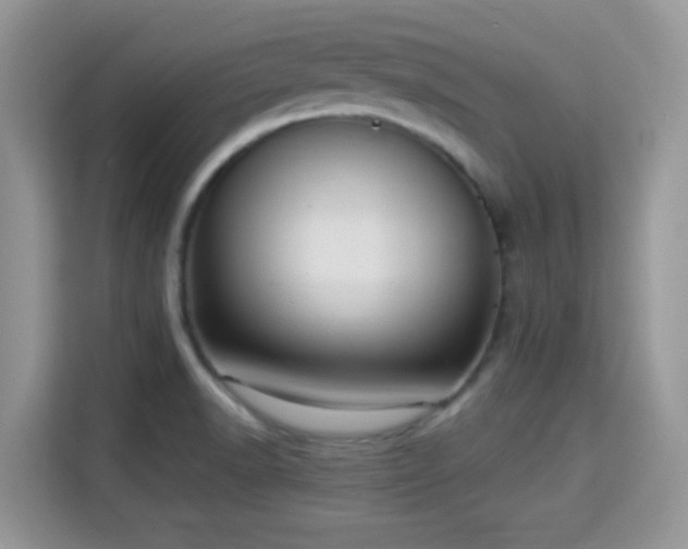 X0000115341518200911091255