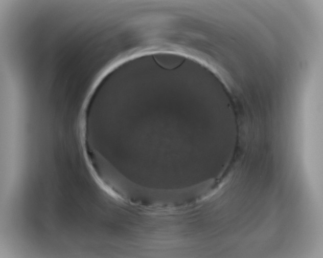 X0000115341519200911091255