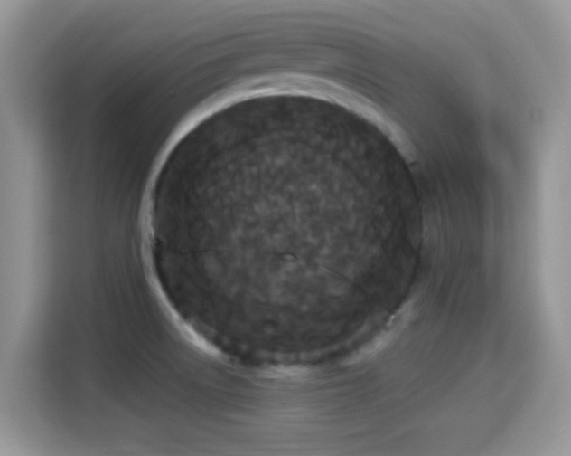 X0000115341522200911091255