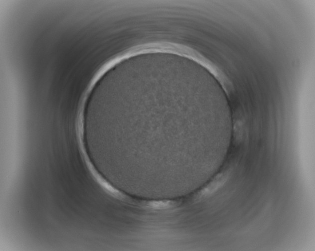 X0000115341523200911091255