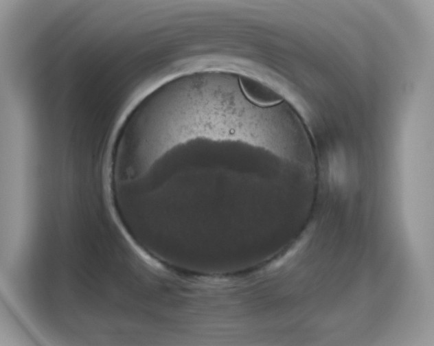 X0000115341525200911091255