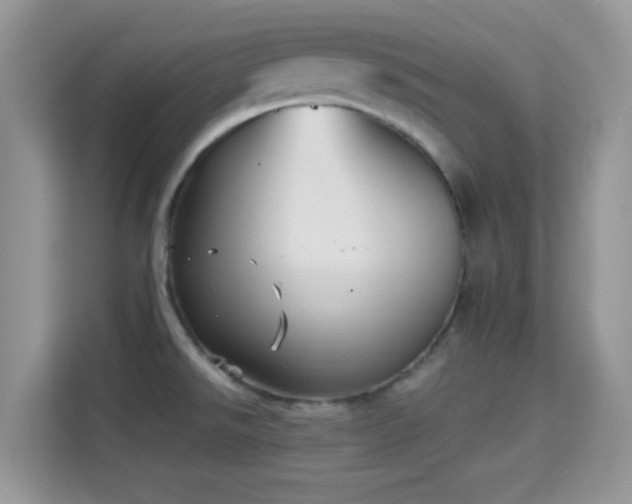 X0000115341526200911091255