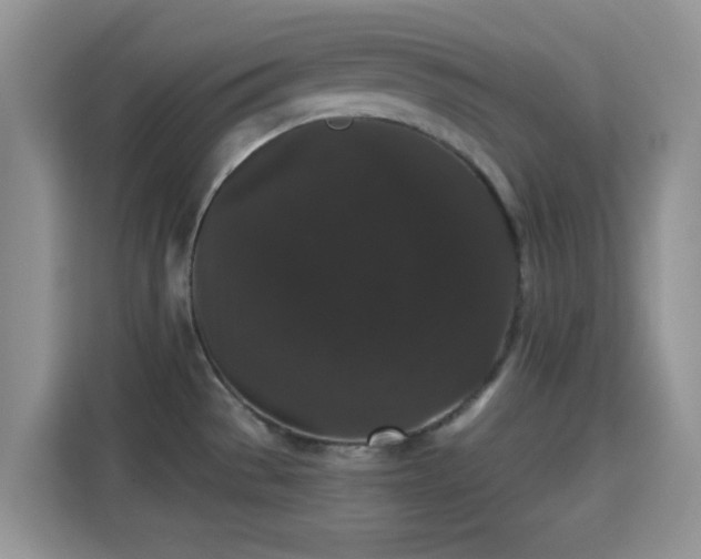X0000115341529200911091255