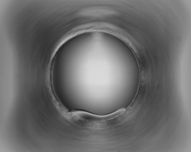 X0000115341530200911091255