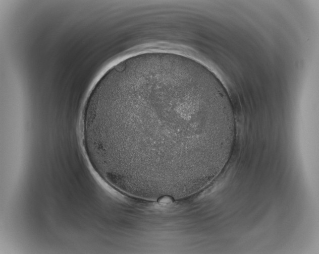 X0000115341531200911091255