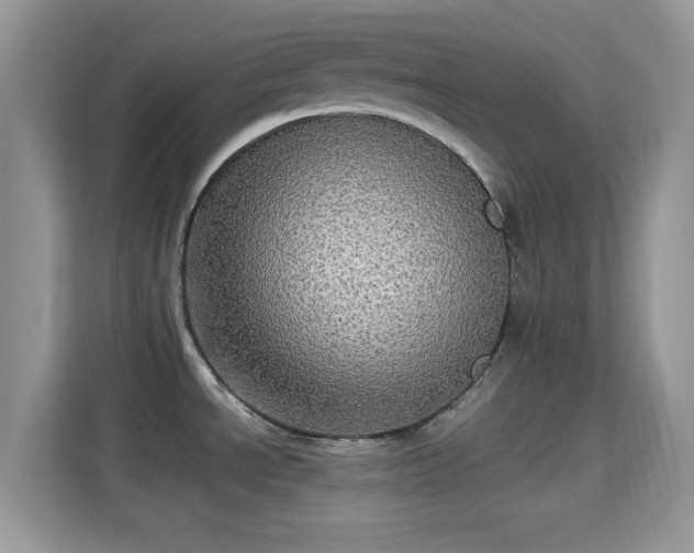 X0000115341534200911091255