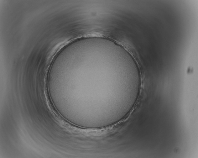 X0000115340001200911161843