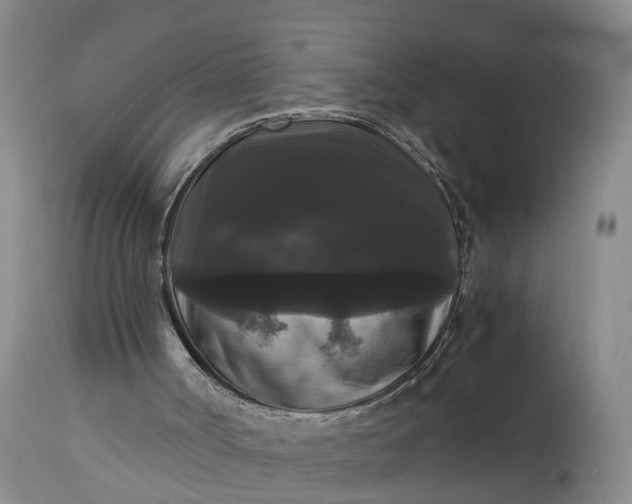 X0000115340002200911161843
