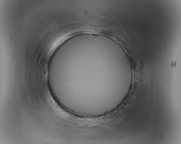 X0000115340005200911161843
