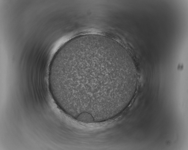 X0000115340006200911161843