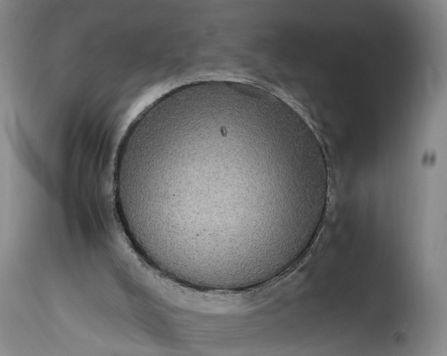 X0000115340008200911161843
