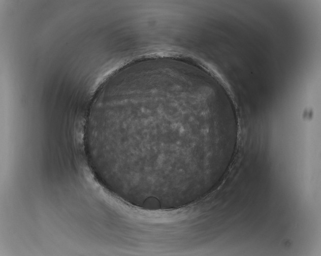 X0000115340010200911161843