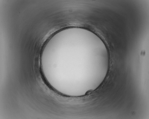 X0000115340011200911161843