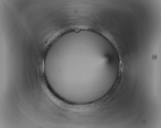 X0000115340013200911161843