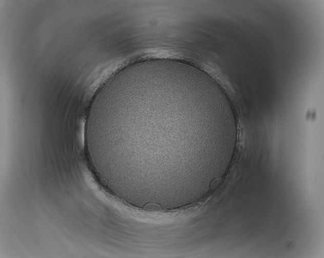X0000115340014200911161843