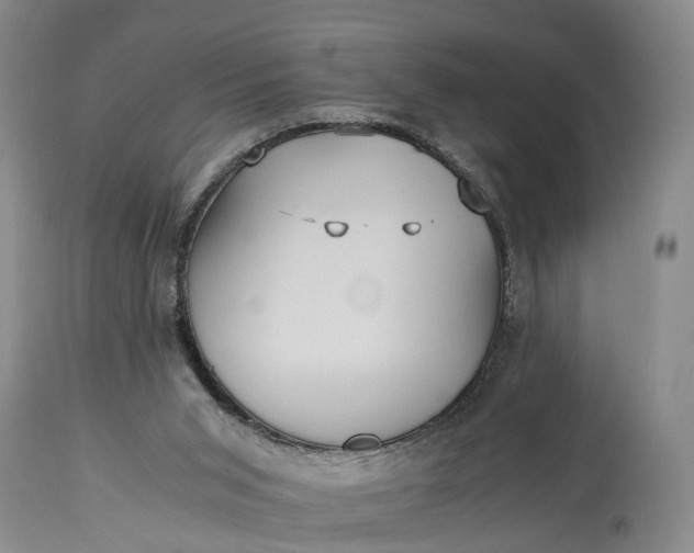 X0000115340015200911161843