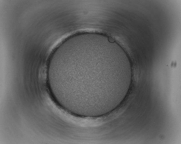X0000115340016200911161843