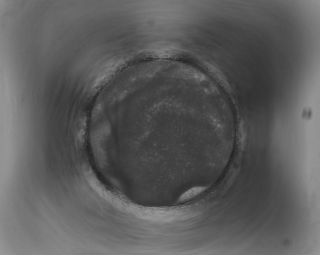 X0000115340018200911161843