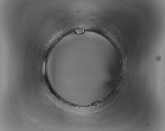 X0000115340019200911161843