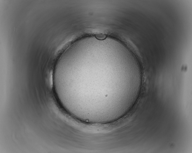 X0000115340020200911161843