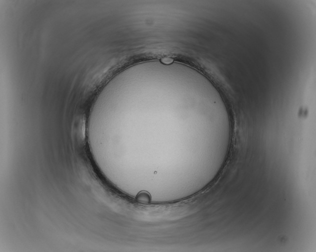 X0000115340021200911161843