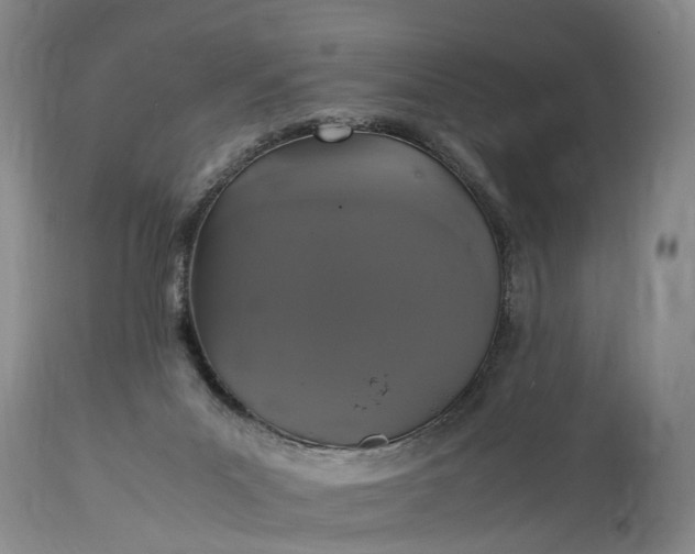 X0000115340023200911161843