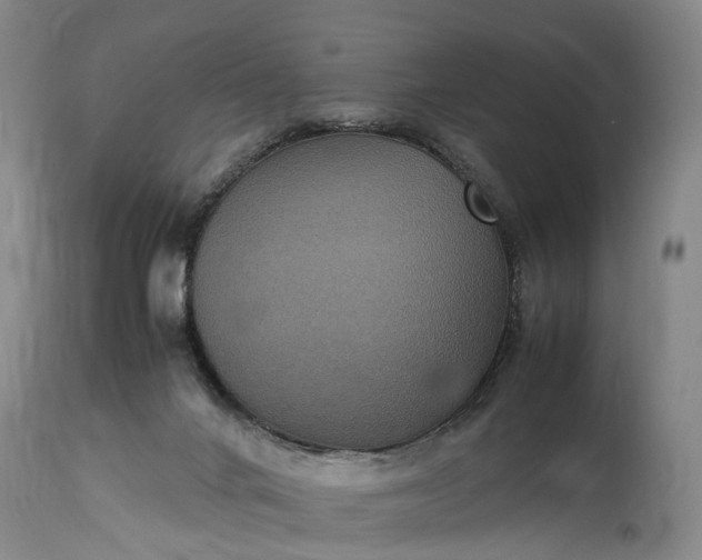 X0000115340024200911161843