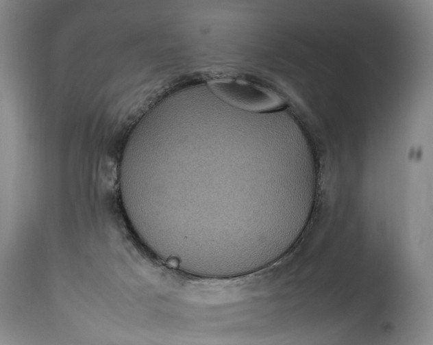 X0000115340025200911161843